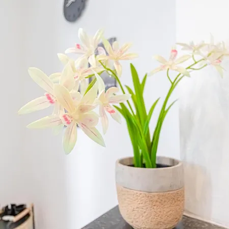 Spacious Shared 5br In The Heart Of Appartement *