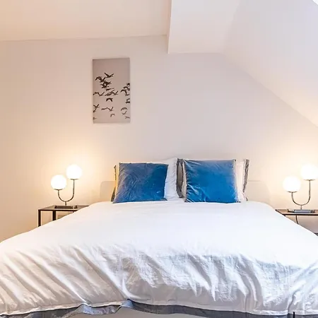 Spacious Shared 5br In The Heart Of Appartement