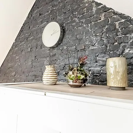 Spacious Shared 5br In The Heart Of Appartement Gent