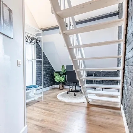 Spacious Shared 5br In The Heart Of Appartement